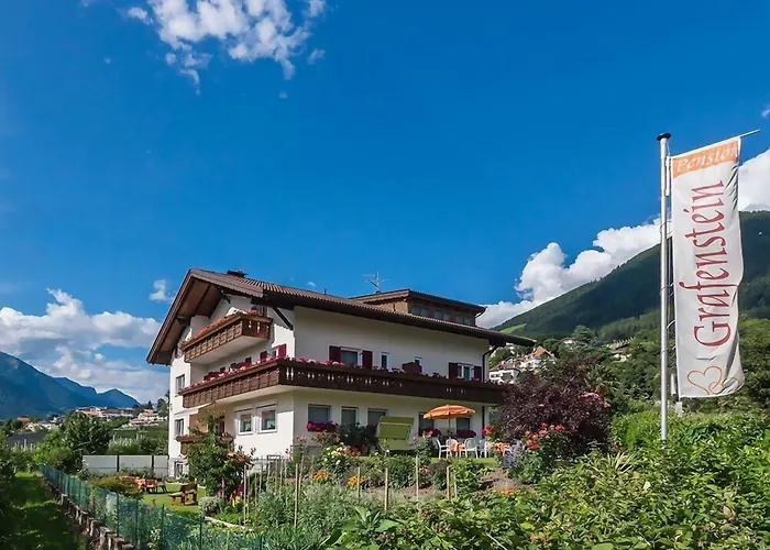 Guesthouse Pension Grafenstein
